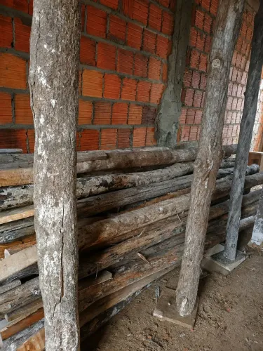 Escoras de eucalipto