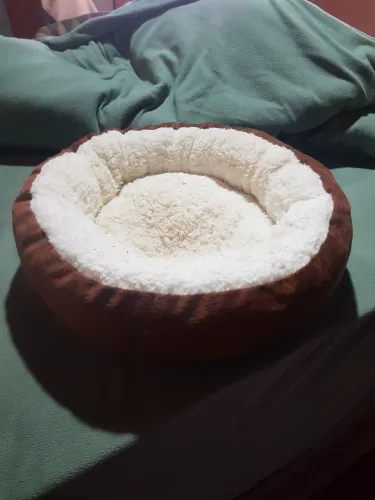 Cama pet