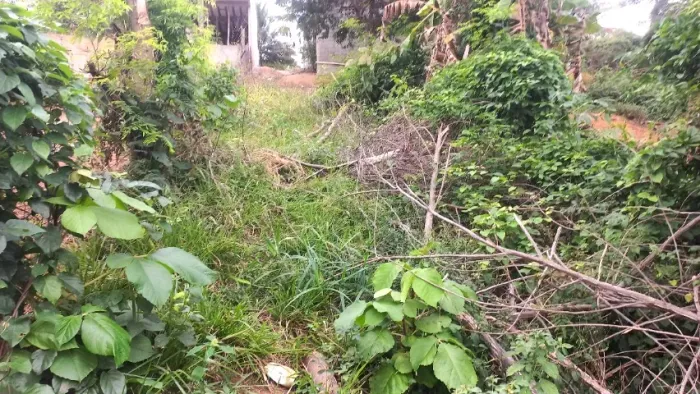 Vendo um terreno em Alzira Ramos