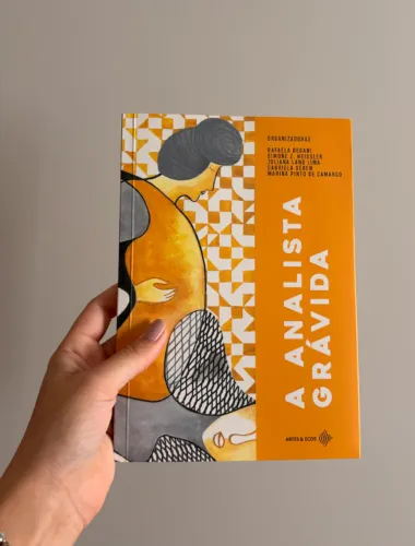 Livro Gravidez - A Analista Grávida