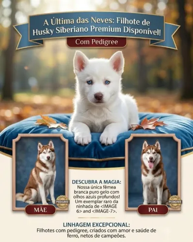 Filhote Husky Siberiano