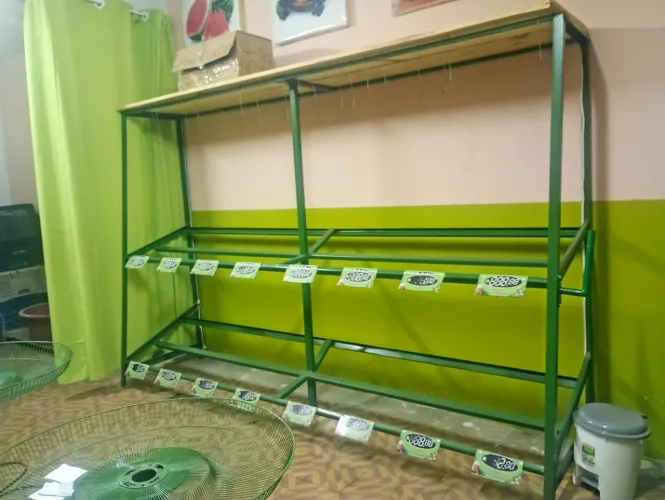 Expositor para verduras