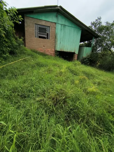 Vendo chácara de 3 hectares