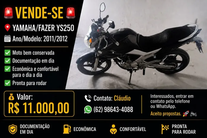 FAZER 2011
