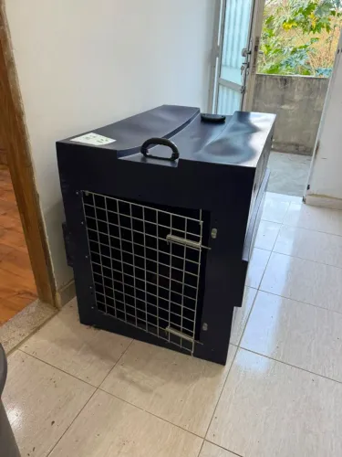 Caixa de cachorro porte grande
