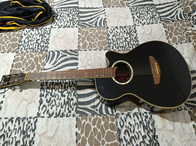 Violão Tagima Dallas