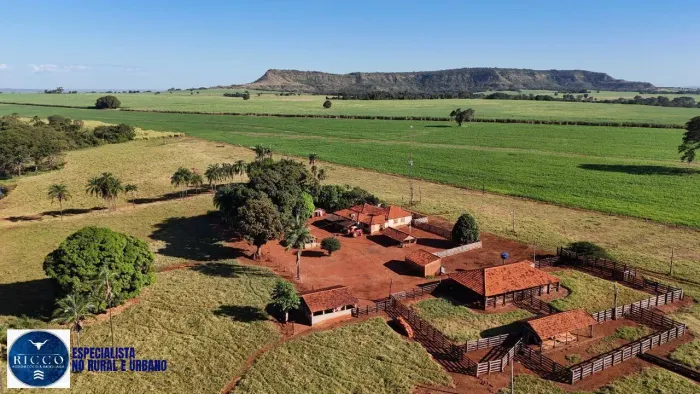 Fazenda à Venda em Quirinópolis/GO 28 Alqueires | Alta Produtividade