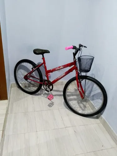 Bicicleta aro 24