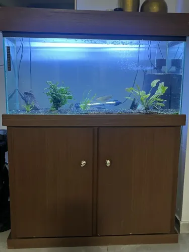 Aquário 200 litros