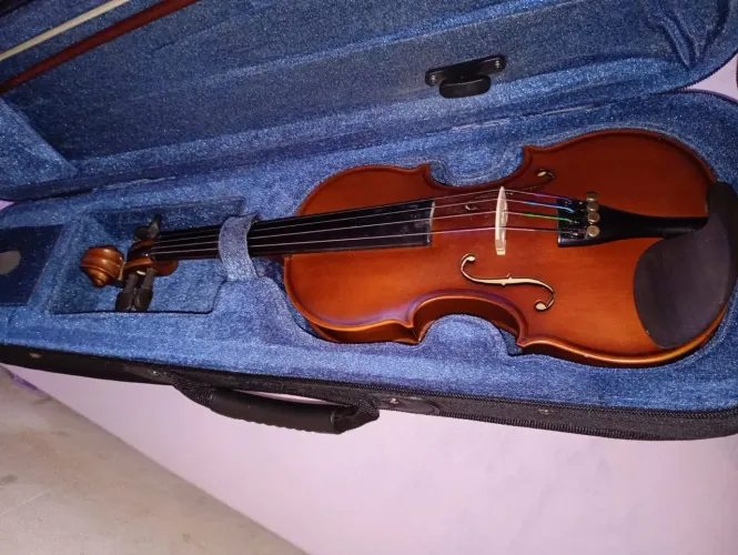 Violino Maju