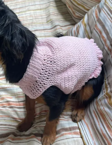 Roupa de crochê para cachorrinha