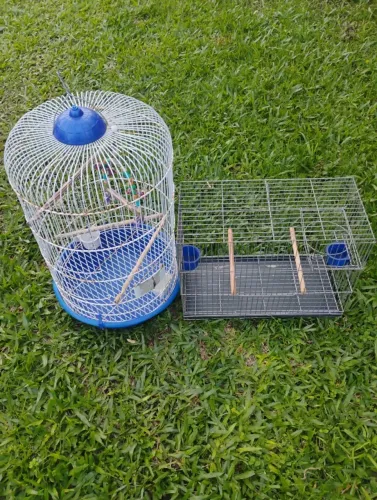 Gaiolas 