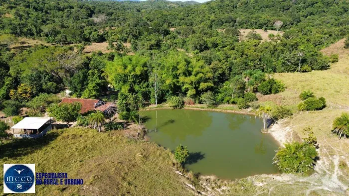 Fazenda à Venda em Crixás (GO)  30 Alqueires  Estrutura Completa
