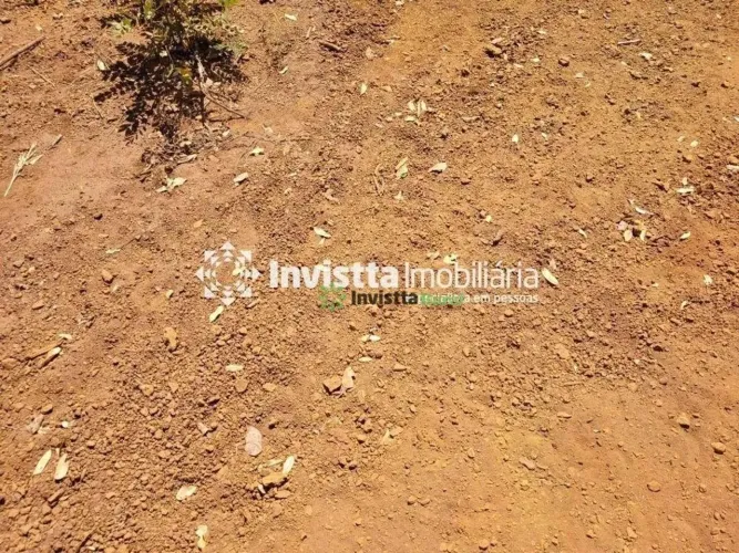 Fazenda de 40 alqueires com solo de alta argila em Luzimangues - Porto Nacional/TO