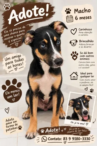 Cachorro para adoção responsável