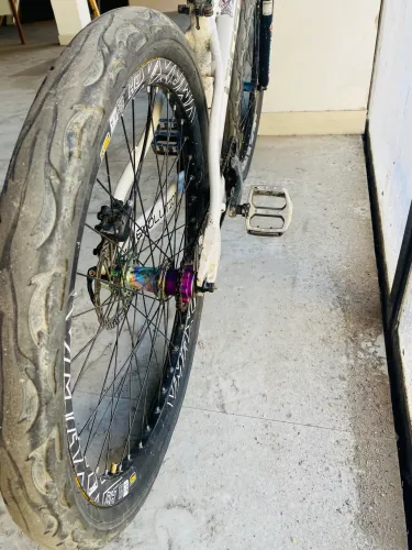 Bike Gios evolution 2024