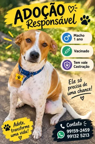 Adoção responsável