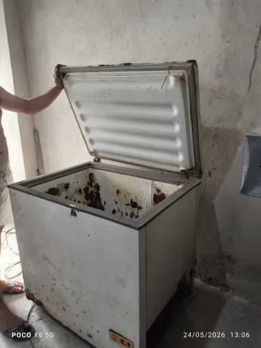 Freezer horizontal