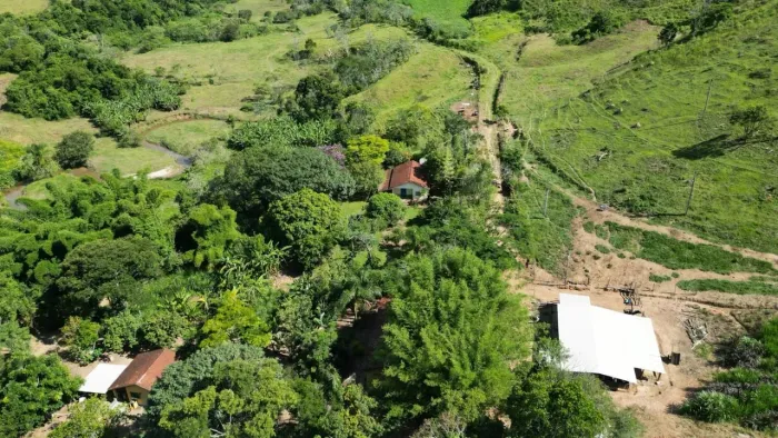 Sítio de 41,4 Hectares com Casa Sede e Pasto Formado em Silveiras - SP