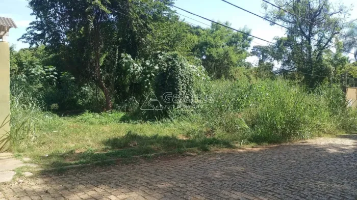 área - Chácara Belvedere - Campinas