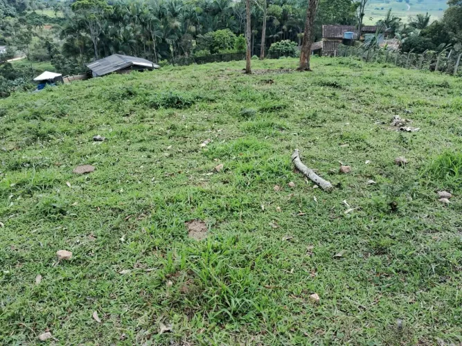Vendo terreno 5mil m² em Ilhota