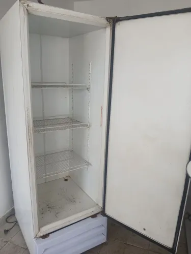 Freezer vertical
