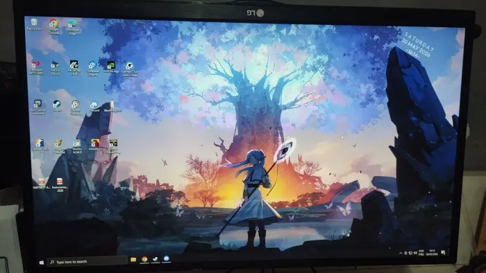 monitor 