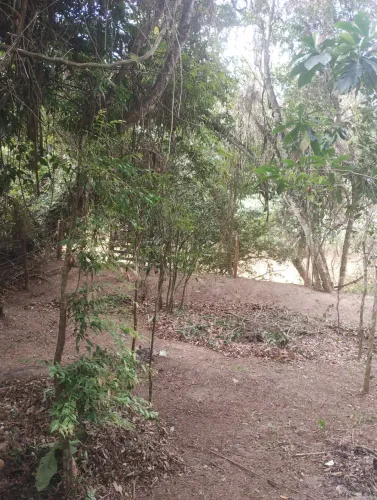 VENDO CHÁCARA RIO DOS BOIS MUNICÍPIO CEZARINA 