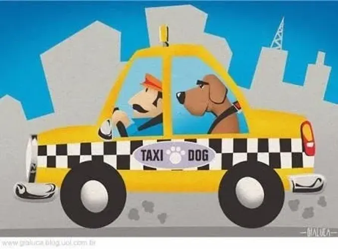 TAXI DOG - GRANDE SAO PAULO 