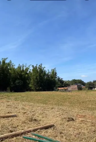 ? Sítio em Águas Claras - 4 terrenos juntos, 2.500 m², poço artesiano e luz!