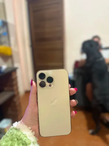 iPhone 14 Pro Max Gold