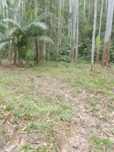Terreno no Bairro Brilhante - Itajaí