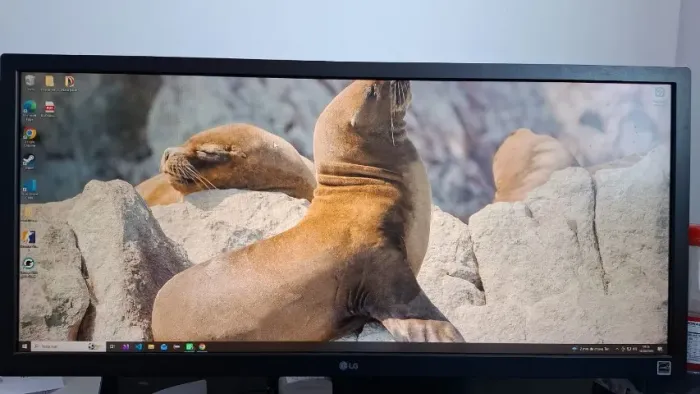 Monitor Gamer
