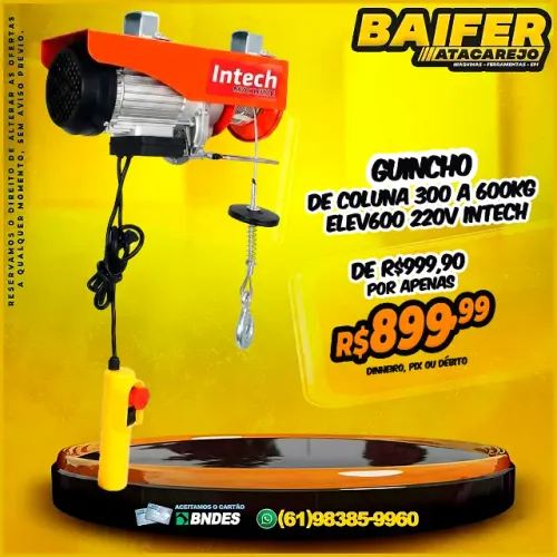 Guincho de Coluna 300 a 600kg Elev600 220v Intech