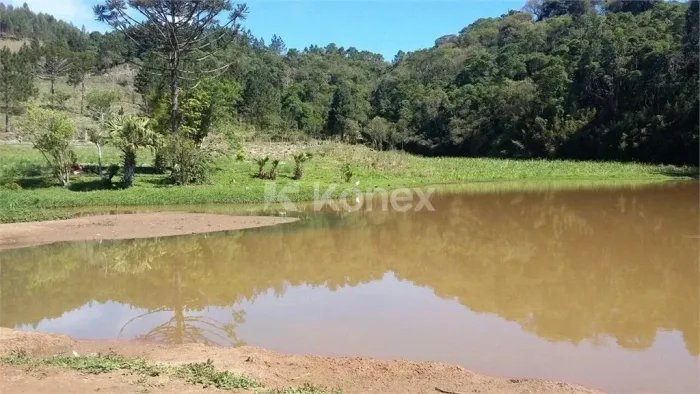 Sítio à venda com 5 quartos em Turvo, Tapiraí
