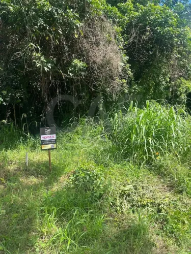 Chácara à venda, Chácara Recreio Floresta, Jaguariúna, SP