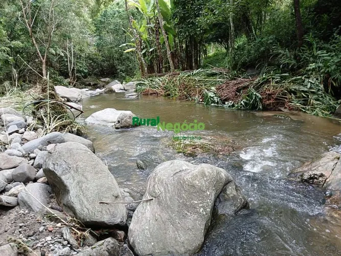 SÍTIO COMPLETO COM ABUNDÂCIA DE ÁGUA EM BANANAL-SP