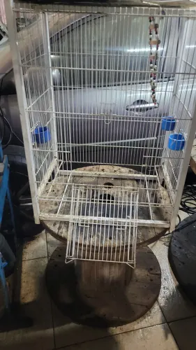 Gaiolas para pássaros 