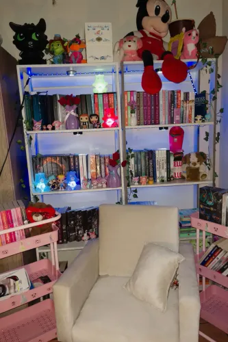 Estantes de livros