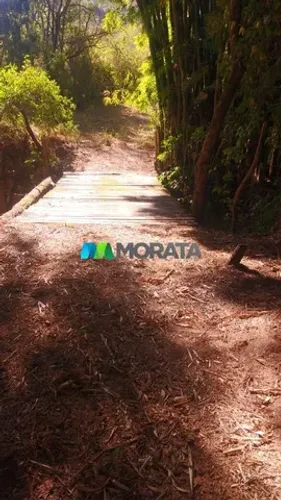FAZENDA À VENDA - 20 HECTARES - BELO VALE (MG)