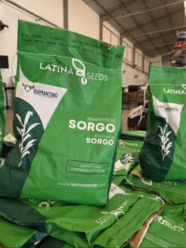 Sorgo Boliviano Gigante