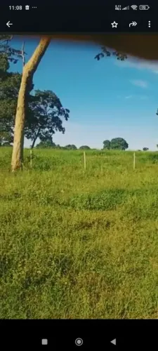 Fazenda 5.341 hect em araguaína TO. Vende ou arrenda