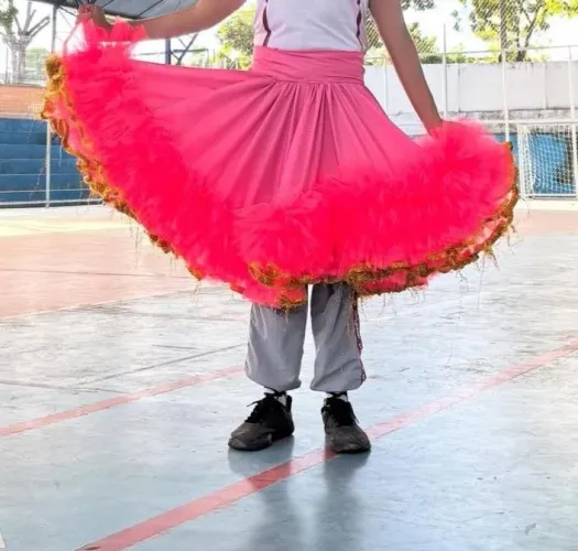Aluguel de saia, anagua junina simples rosa