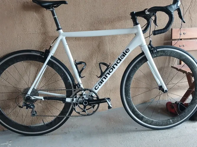 Speed tamanho 56