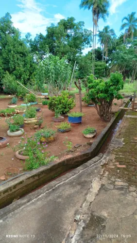 23 hectares todo formado em bela vista uma excelente chacara!