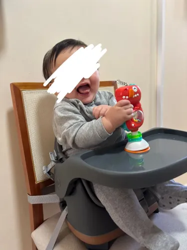 Vendo Cadeira De Refeição Portátil Jay Maxi-cosi 6 Meses A 15kg