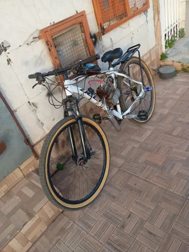 Bicicleta motorizada aro 29