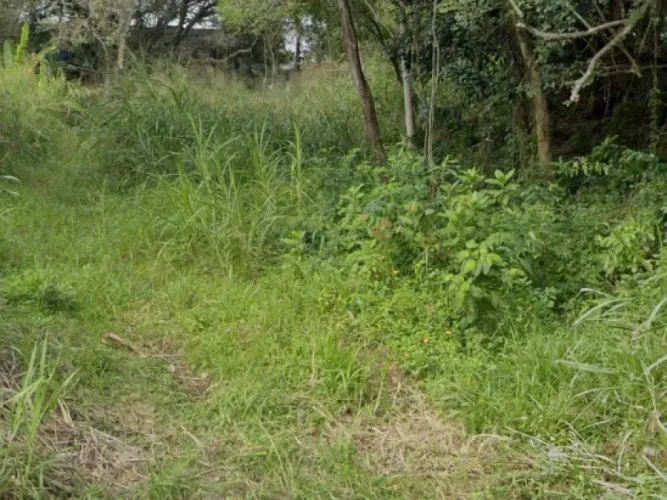 Terreno com 381m2 na Rua Aracua, Pantanal, Florianópolis/SC