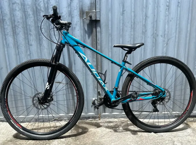 Bike Audax Havok SX