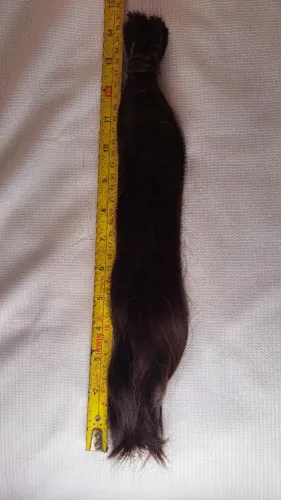 Cabelo